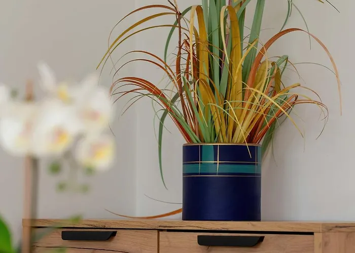 Apartamento Piękny Słoneczny Blisko Plaży Dla 4 Osób By Renters Gdansk